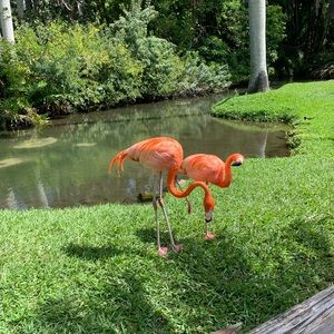 Meet your Posher, Jenn